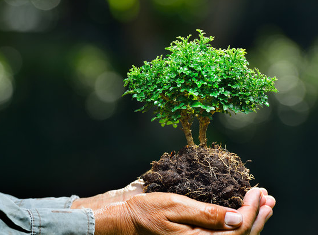 Environmental Conservation & Climate Action