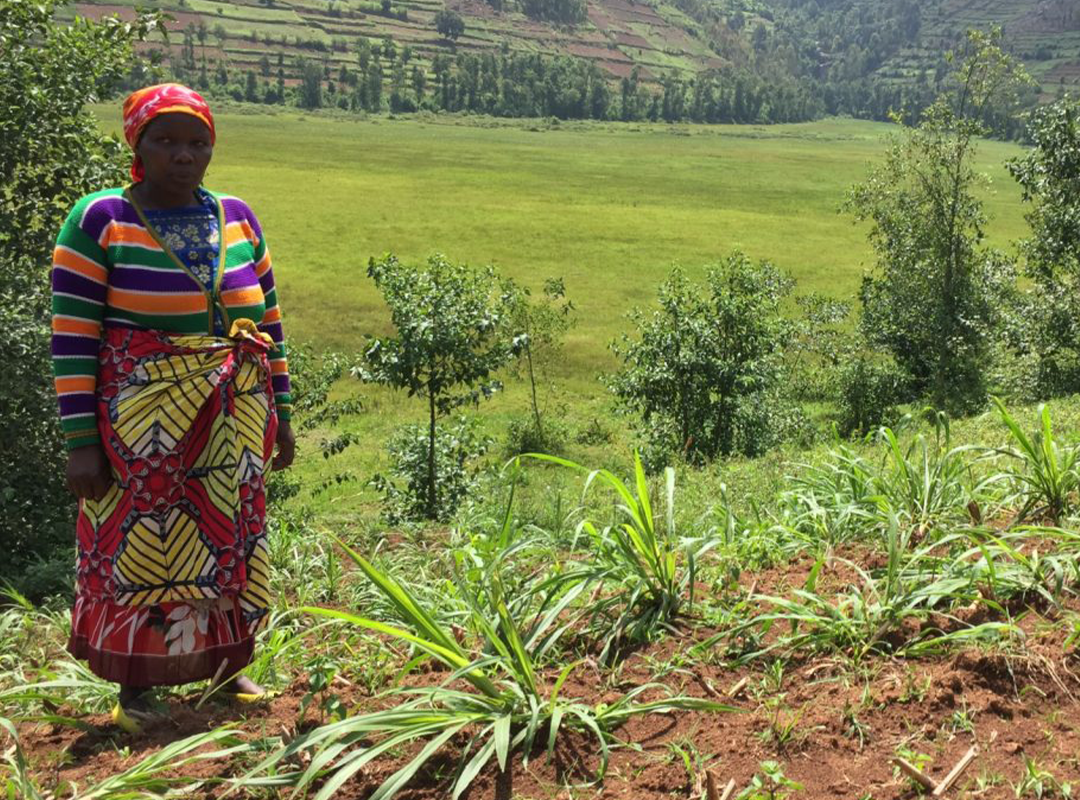 Community Development & Livelihood